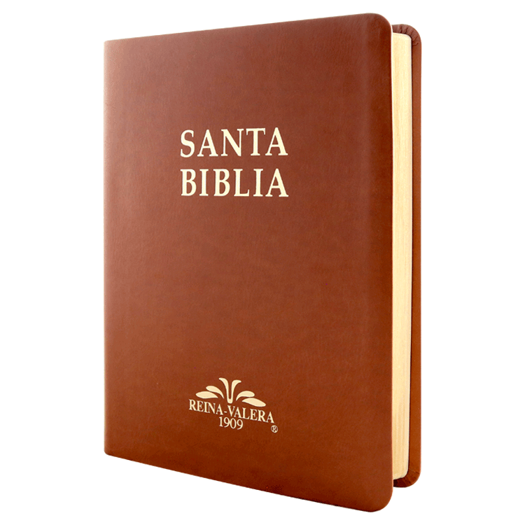 Biblia Reina Valera 1909 Grande Café [VR085LM]