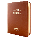 Biblia Reina Valera 1909 Grande Café [VR085LM]