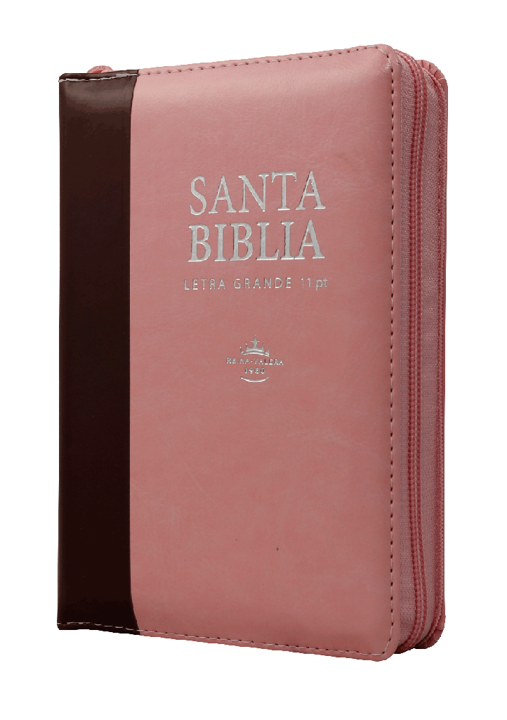 Biblia Reina Valera 1960 Chica Letra Grande Imitación Piel Rosa Marrón [RVR046cZTILSGiPJR]