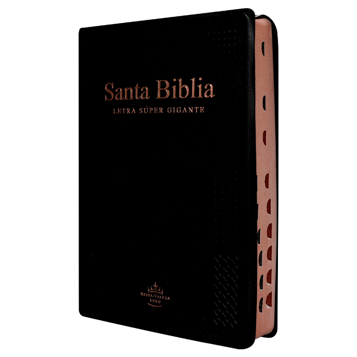 Biblia Reina Valera 1960 Grande Letra Super Gigante Vinil Negra [RVR082cLSGiPJRTI]