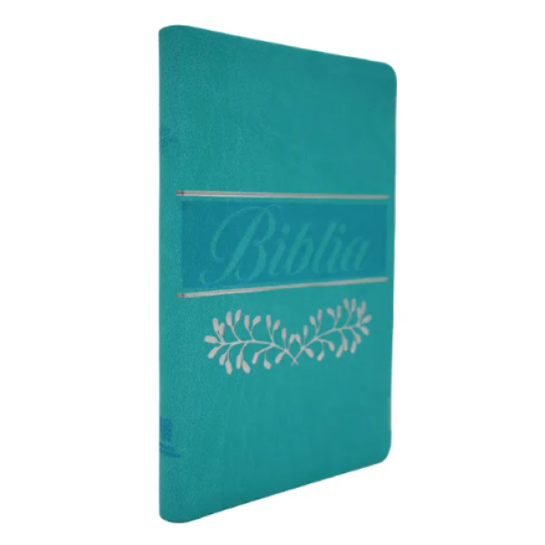 Biblia Reina Valera 1960 Mediana Letra Mediana Imitación Piel Verde Menta [RVR066eLM]