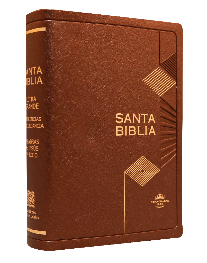 Biblia Reina Valera 1960 Chica Letra Mediana MDM Vinil Café [RVR042cLGPJR]