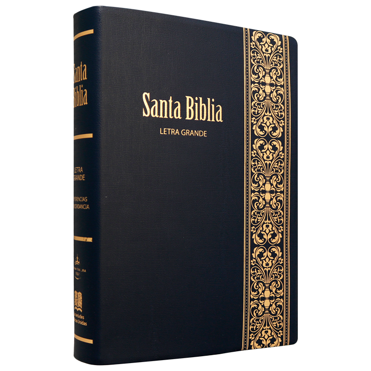 Biblia Reina Valera 1960 Mediana Letra Grande Vinil Negro [RVR062CLG]