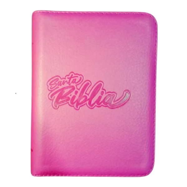 Biblia Reina Valera 1960 Chica Letra Chica Imitación piel Rosa Código QR [RVR046cZLMPJR]