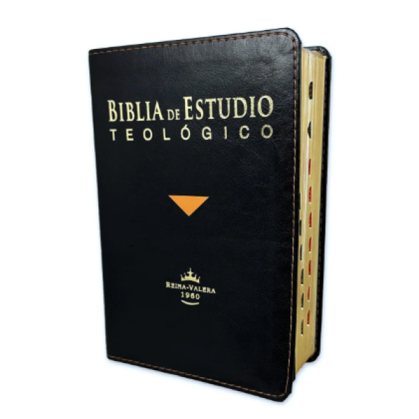 Biblia de Estudio Teológico Reina Valera 1960 Mediana Letra Mediana Imitación piel Negro [RVR066cEETI-BET]