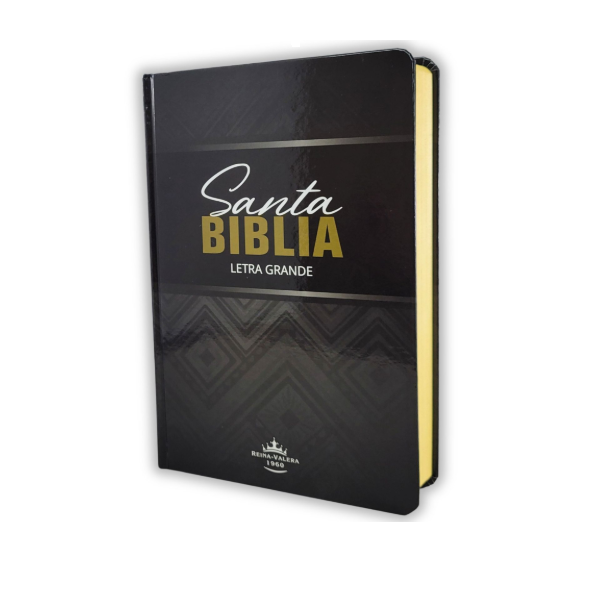 Biblia Reina Valera 1960 Tapa Dura Ilustrada Letra Grande [RVR063CLGPJR]