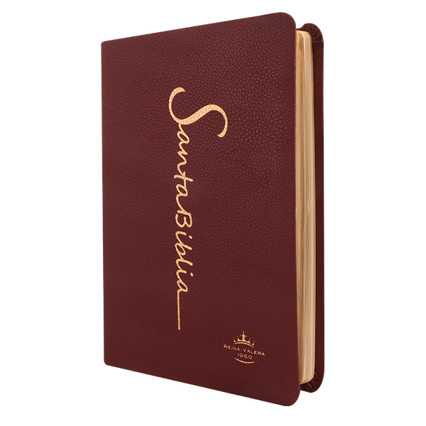Biblia Reina Valera 1960 Mediana Letra Grande Imitación Piel Vino [RVR065LG CV] 