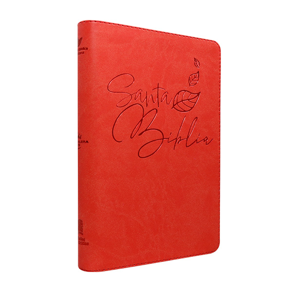 Biblia Reina Valera 1960 Mediana Letra Grande Imitación Piel Rojo [RVR066LGZPJR] 