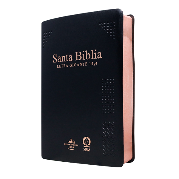 Biblia Reina Valera 1960 Mediana Letra Gigante Vinil Negro Canto Cobre Afinidad RVR062cLGiPJR-MEX