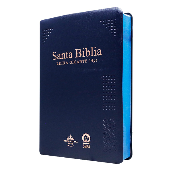 Biblia Reina Valera 1960 Mediana Letra Gigante Vinil Azul Canto Cobre Afinidad RVR062cLGiPJR-MEX