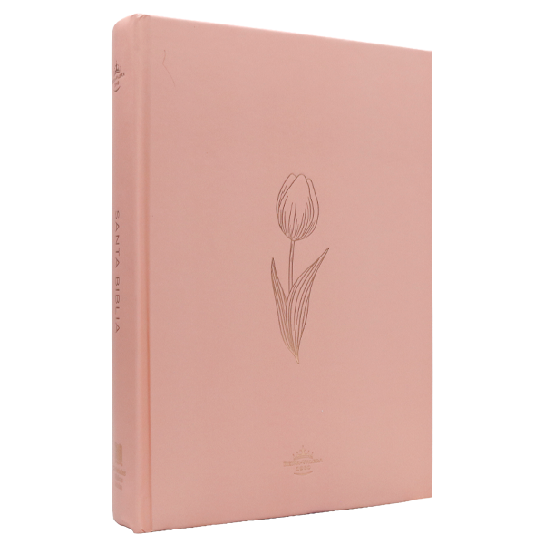 Biblia Reina Valera 1960 Mediana Letra Grande Minimalista Tapa Dura Rosado [RVR063cLGPJR]  