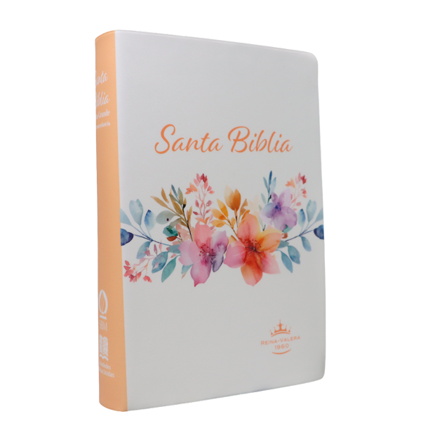 Biblia Reina Valera 1960 Mediana Letra Gigante 14 pts Vinil RVR062cLGiPJR Amaranth 