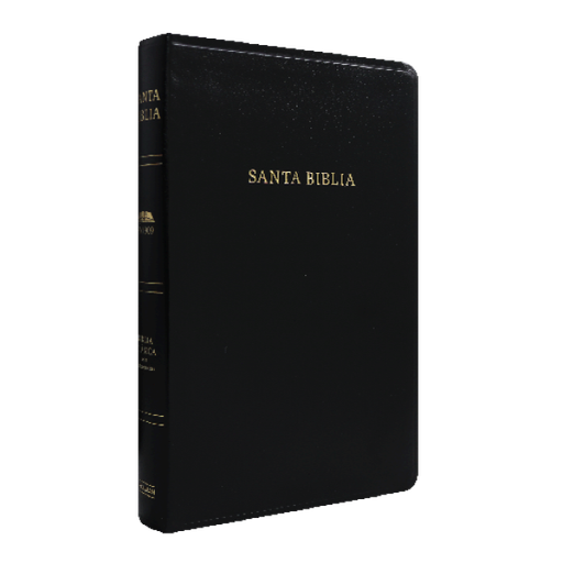 [9781558199545] Biblia Clásica Reina Valera 1909 Con Referencias Negro Imitación Piel