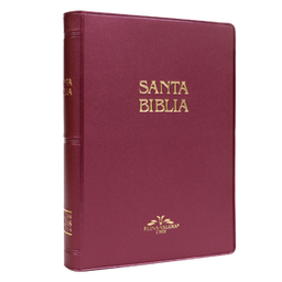 [9781576970027] Biblia Reina Valera 1909 Mediana Letra Mediana Vinil Vino [VR052]