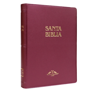 [9781576970027] Biblia Reina Valera 1909 Mediana Letra Mediana Vinil Vino [VR052]