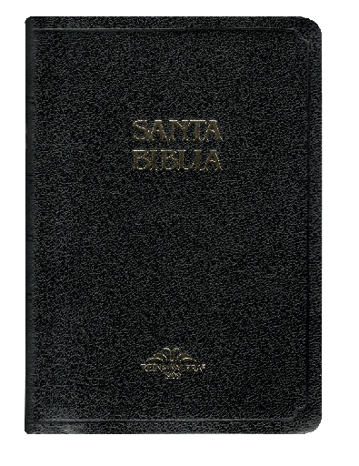 [9781576978795] Biblia Reina Valera 1909 Mediana Letra Mediana Imitación Piel Negro [VR055]