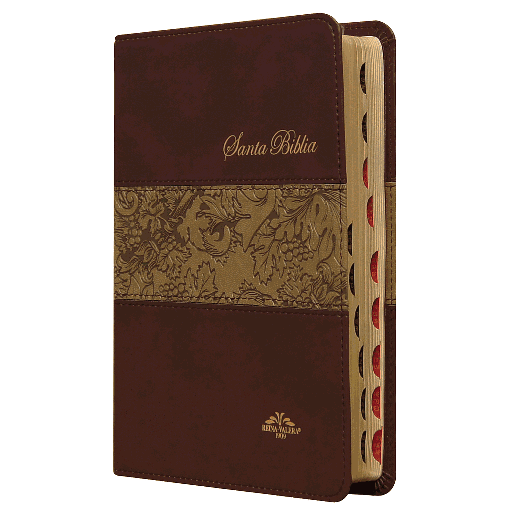 [9788941291374] Biblia Reina Valera 1909 Mediana Letra Mediana Imitación Piel Café [VR055TI]