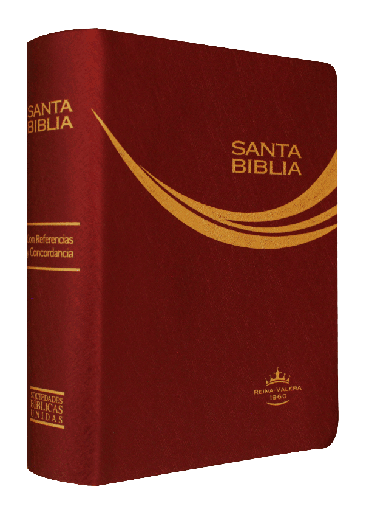 [9788941291428] Biblia Reina Valera 1960 Tamaño Bolsillo Letra Chica Vinil Vino String [RVR022c]