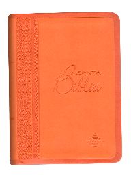 [9781598771244] Biblia Reina Valera 1960 Tamaño Bolsillo Letra Mediana Imitación Piel Naranja [RVR025cTI]