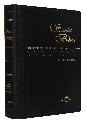 [9781576975817] Biblia Reina Valera 1960 Chica Vinil Letra Chica Negro [RVR042C]