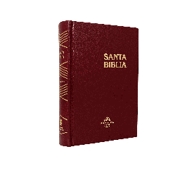 [9781576970201] Biblia Reina Valera 1960 Chica Letra Chica Tapa Dura Vino [RVR043c]