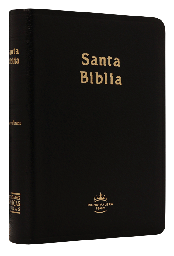 [9781576975787] Biblia Reina Valera 1960 Chica Letra Mediana Imitación Piel Negro [RVR045c]