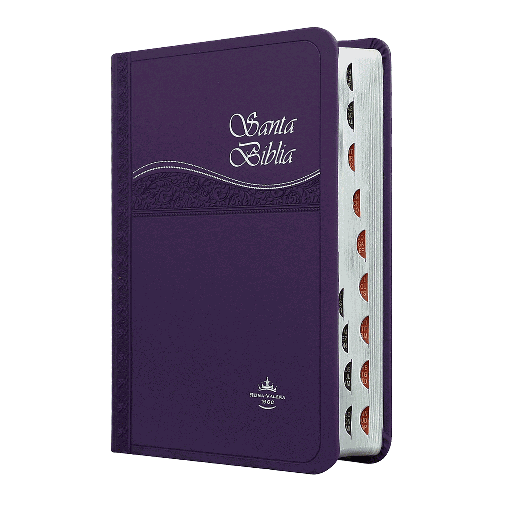 [9788941293880] Biblia Reina Valera 1960 Chica Letra Mediana Imitación Piel Morado [RVR045cLGTI]