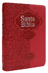 [7898521818234] Biblia Fuente de Bendiciones Reina Valera 1960 Chica Letra Mediana Imitación Piel Roja [RVR045cLMFB]