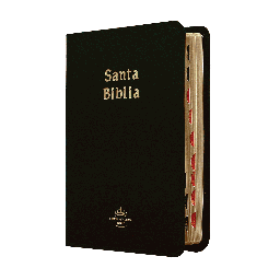 [9781576978948] Biblia Reina Valera 1960 Chica Letra Chica Imitación Piel Negro [RVR045cTI]