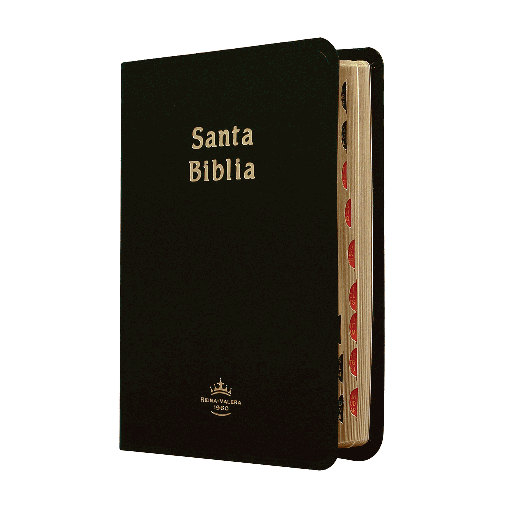 [9781576978948] Biblia Reina Valera 1960 Chica Letra Chica Imitación Piel Negro [RVR045cTI]