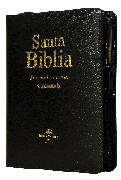 [7898521818210] Biblia Fuente de Bendiciones Reina Valera 1960 Chica Letra Mediana Imitación Piel Negro [RVR046cLMFBZTIPU]