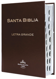 [9781598775686] Biblia Reina Valera 1960 Mediana Letra Grande Tapa Dura Café [RVR053CTILGPJR]