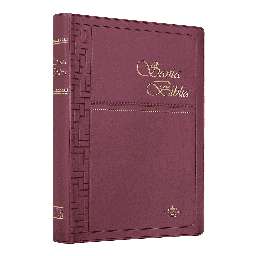 [9781576970423] Biblia Reina Valera 1960 Mediana Letra Mediana Vinil Vino [RVR062]