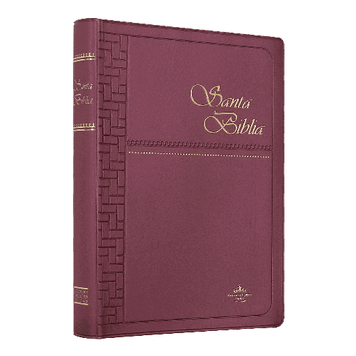 [9781576970423] Biblia Reina Valera 1960 Mediana Letra Mediana Vinil Vino [RVR062]