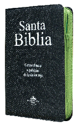 [7899938401149] Biblia Reina Valera 1960 Mediana Letra Grande Mezclilla Verde [RVR064CLGPJRZTI]