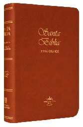 [9788941295518] Biblia Reina Valera 1960 Mediana Letra Grande Imitación Piel Café  [RVR065CLG]