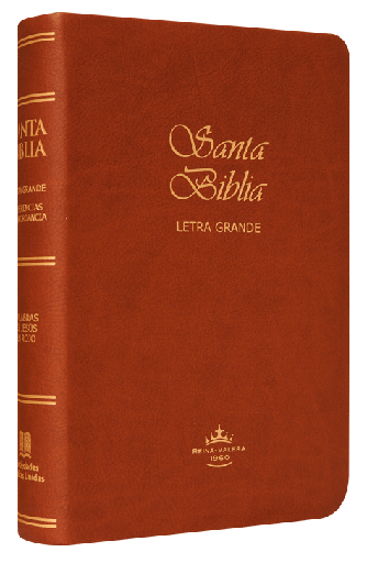 [9788941295518] Biblia Reina Valera 1960 Mediana Letra Grande Imitación Piel Café  [RVR065CLG]