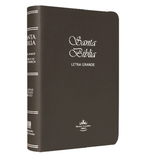 [9788941295501] Biblia Reina Valera 1960 Mediana Letra Grande Imitación Piel [RVR065CLG]