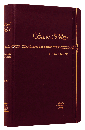 [9788941293729] Biblia Reina Valera 1960 Mediana Letra Grande Imitación Piel Café [RVR065CLG]