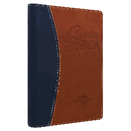 [7898521812782] Biblia Reina Valera 1960 Mediana Letra Grande Imitación Piel Azul/Marrón [RVR065cLGPJR]