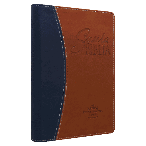 [7898521812782] Biblia Reina Valera 1960 Mediana Letra Grande Imitación Piel Azul/Marrón [RVR065CLGPJR]