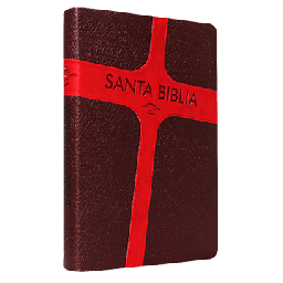 [9781598771978] Biblia Reina Valera 1960 Mediana Letra Grande Imitación Piel Marrón Rojo [RVR065CLG]