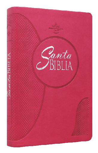 [7898521806460] Biblia Reina Valera 1960 Mediana Letra Grande Imitación Piel Fiusha [RVR065cLGPJR]