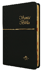 [9781576976265] Biblia Reina Valera 1960 Mediana Letra Mediana Imitación Piel Negro Ultrafina [RVR065cXTI]