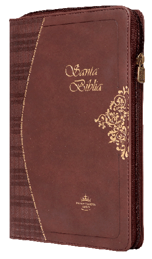 [9788941291152] Biblia Reina Valera 1960 Mediana Letra Grande Imitación Piel Vino [RVR065cZTI]