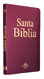 [9781598776034] Biblia Reina Valera 1960 Mediana Letra Mediana Imitación Piel Vino Ultrafina [RVR065e]