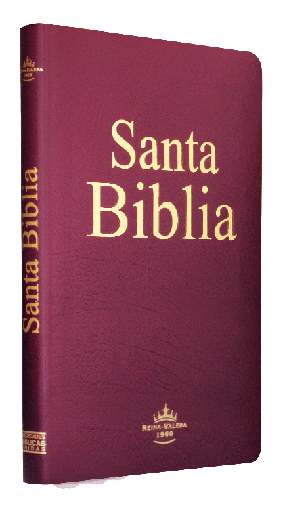 [9781598776034] Biblia Reina Valera 1960 Mediana Letra Mediana Imitación Piel Vino Ultrafina [RVR065e]