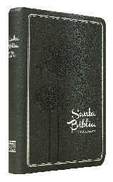 [9788941294887] Biblia Reina Valera 1960 Mediana Letra Grande Imitación Piel Gris [RVR065LGTR]