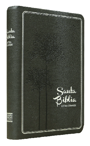 [9788941294887] Biblia Reina Valera 1960 Mediana Letra Grande Imitación Piel Gris [RVR065LGTR]