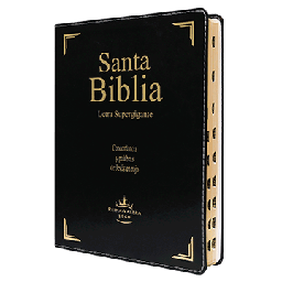 [7899938405598] Biblia Reina Valera 1960 Gigante Letra Supergigante Imitación Piel Negro [RVR096CLSGIPJRTI]